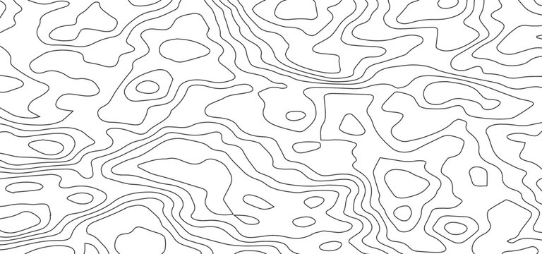 Abstract White Topographic Contour Background with Organic Black Elevation Lines. Abstract Terrain Contour Line Background with Organic Geometric Shapes.	