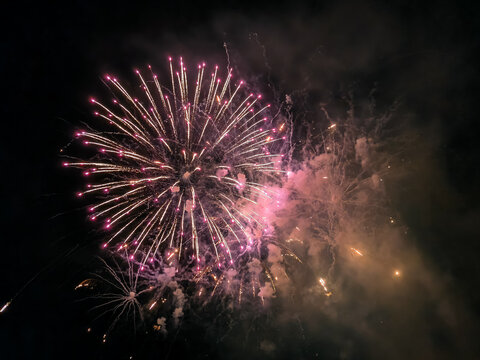 Fuegos artificiales dorados y destellos que iluminan el cielo nocturno en una espectacular exhibici&oacute;n pirot&eacute;cnica de celebraci&oacute;n.