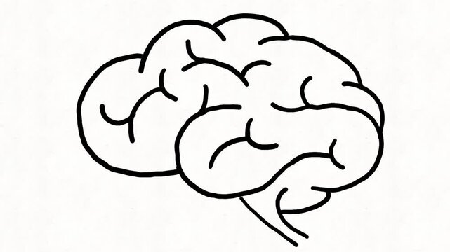 
Animated hand drawn human brain outline appearing on white background, illustrating thinking, intelligence, neuroscience, psychology, memory, cognition and mental activ