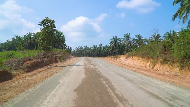 Central Perspective View of Dirt Access Road Cut into Red Clay Ground Tropical Palm sawit Forest Area Countryside Logistics Route Infrastructure Development Project