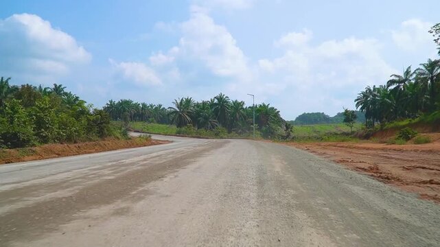 Wide Gravel Road Perspective Crossing Palm Oil Plantation sawit Field Bright Day Light Countryside Logistics Route Industrial Agricultural Transport Infrastructure Scenic Outdoor View