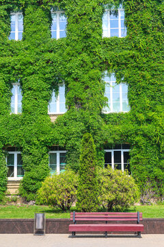 Multi-storey house facade completely covered with green plants, only windows visible through dense vegetation and ivy on building walls.