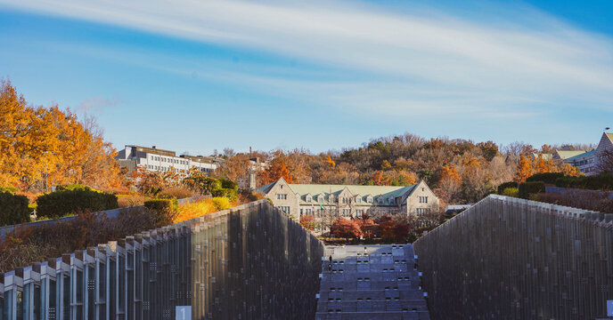 Ewha Womans University Campus Complex Valley Seoul