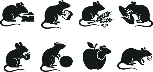 Obraz premium Black silhouette icons set of hungry mice and rats eating cheese bread wheat corn apple berry and nuts on white background