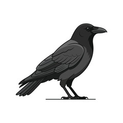 Fototapeta premium Black Crow Bird Standing Side View Flat Vector Illustration Icon