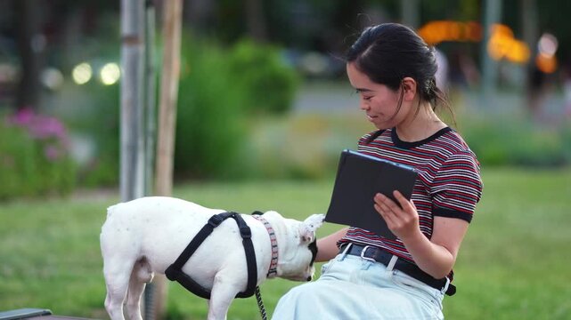 Young japanese woman petting her french bulldog in a park