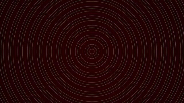 Many thin glowing golden lines form perfect concentric circles centered on a dark deep red space
