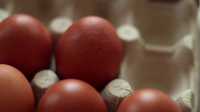 Close-up panning shot of fresh brown chicken eggs resting in a grey recycled cardboard egg carton.