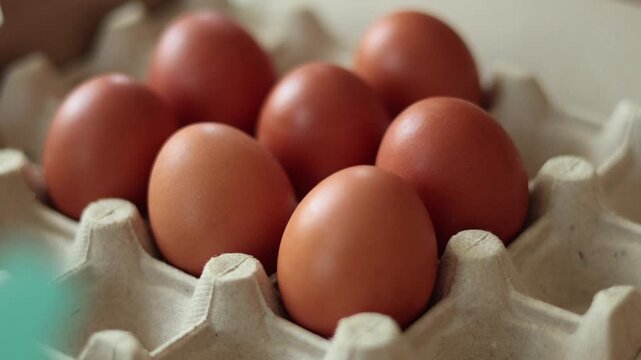 Close-up panning shot of fresh brown chicken eggs resting in a grey recycled cardboard egg carton.