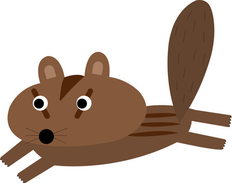chipmunk