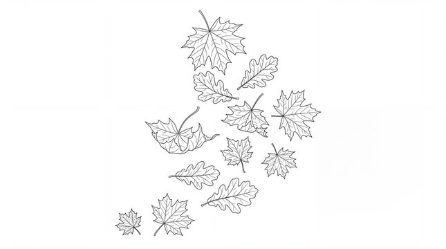 Minimalist line art autumn leaves, black and white botanical sketch of falling maple and oak foliage, elegant nature illustration
