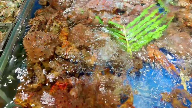 Live Crabs and Shrimp in Restaurant Aquarium &ndash; Chinese Seafood Selection