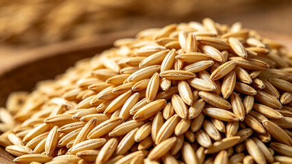 Obraz premium unmilled rice (paddy) 