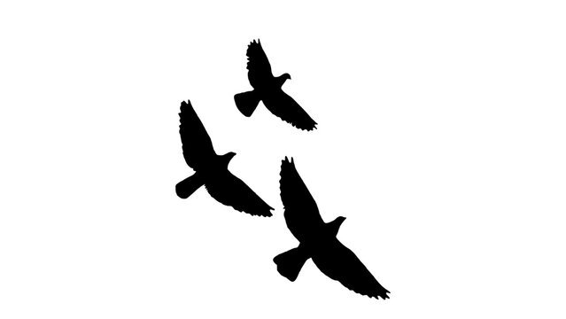Three black birds flying in the sky together as a flock in a simple artistic silhouette design