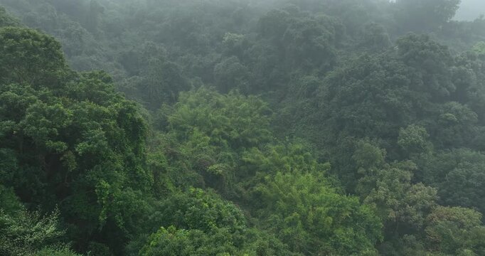 Aerial view of foggy forest mountain landscape in spring