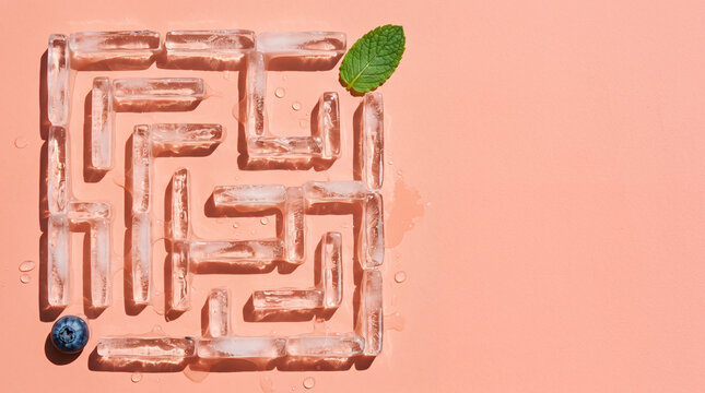 ブルーベリーとミントを配した氷の迷路