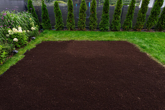 Garden lawn preparation for sowing grass seeds