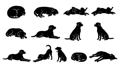 Obraz premium Dog Silhouettes Set, Various Poses and Positions Featuring Silhouette, Animal