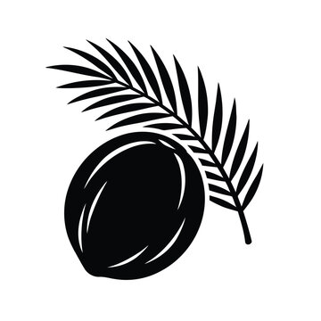 vector illustrator of a black and white coconut
