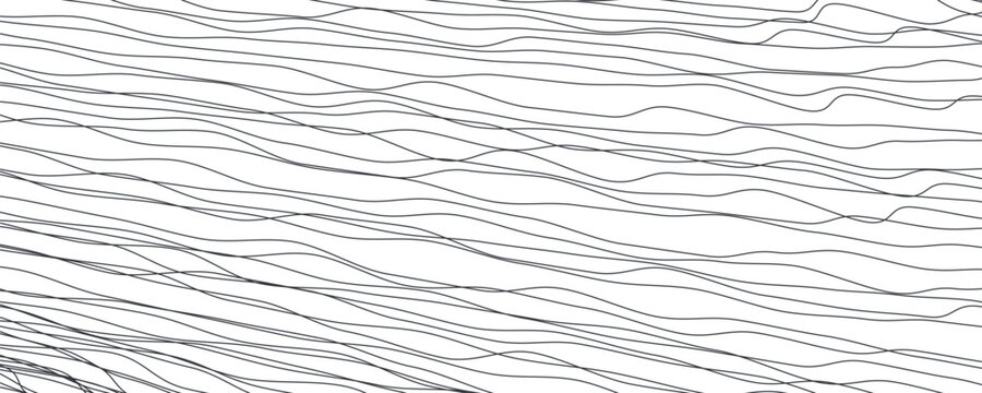 Line curve wave and pattern white thin with wavy seamless simple. Abstract background parallel and vector graphic flow with art motion winding.