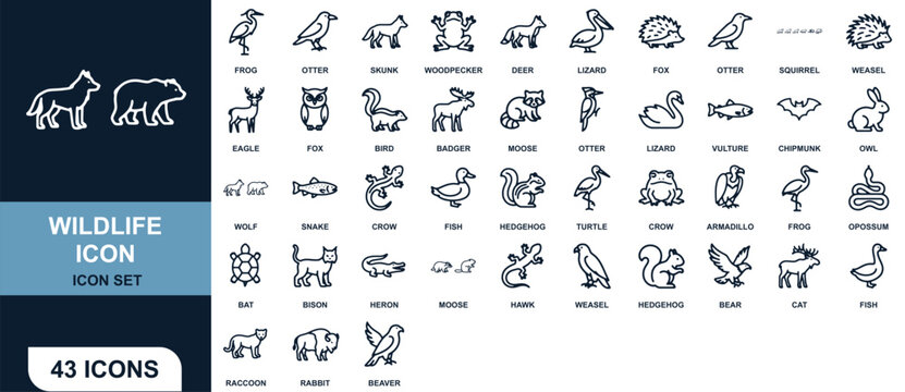 Collection of forty three linear wildlife animal