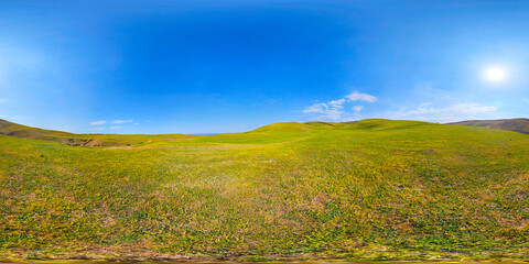 Obraz premium Vast Green Rolling Hills Under Clear Blue Sky Panorama