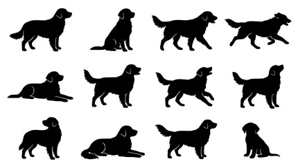 Obraz premium Golden Retriever Dog Silhouette Poses Black Vector Collection