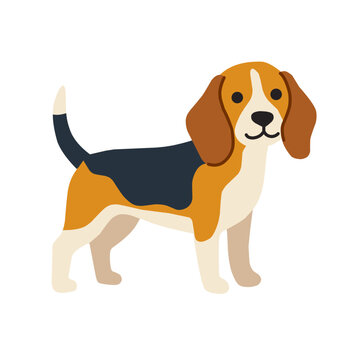 Cute beagle dog standing with brown, black, and white fur, isolated on white background, cartoon vector illustration for pet, dog, and animal designs