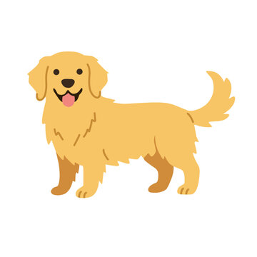 Cute golden retriever standing with a happy expression and fluffy tail, isolated on white background, cartoon vector illustration for pet and dog designs