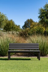 Fototapeta premium Empty park bench in landscaped garden with blue sky for design, poster and website background