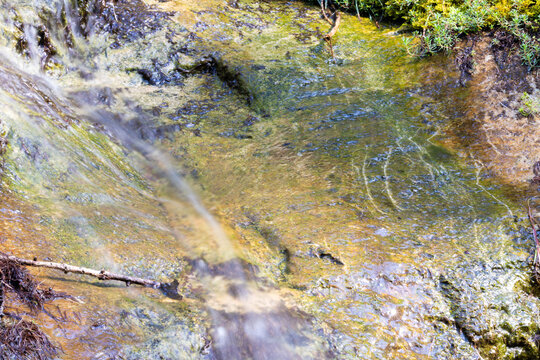Clear freshwater stream flowing over algae‑covered rocks with natural colors