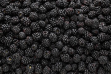 Heap of ripe tasty blackberries as background, closeup © New Africa