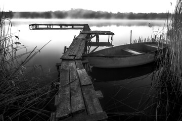 Black and white view of an old rowing boat moored at a wooden pier in the reeds © Yaroslav