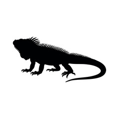 Obraz premium Iguana silhouette vector flat design on white background. 