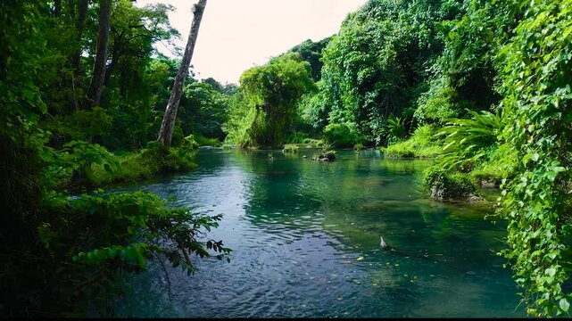 Rarru Waterfalls. The subtropical beauty of the ocean and jungle waterfalls on the paradise island of Vanuatu in the South Pacific.