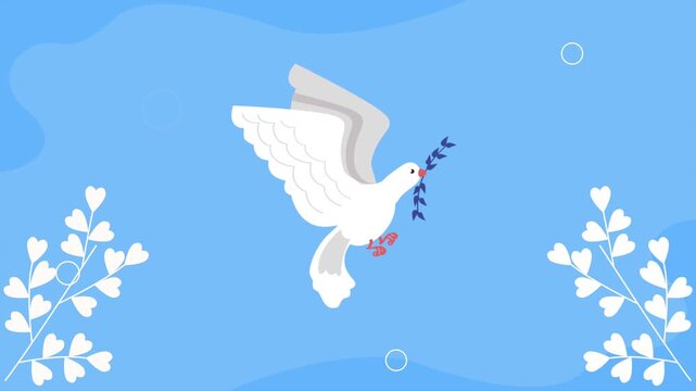 A serene motion graphic of white dove flying peacefully with olive branch in mouth, symbolizing hope and peace against blue backdrop.