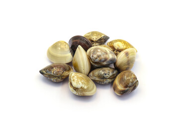 Closed up fresh baby clams. venus shell. shellfish. carpet clams. Food from nature. as raw food from the sea are the seafood ingredients. fresh clams isolated on white background © Pisan