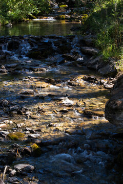 Clear forest stream flowing over mossy rocks in warm natural sunlight