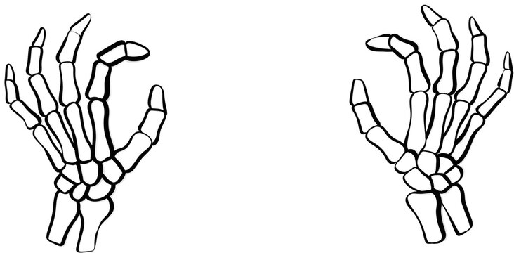halloween skeleton hands pair spooky bone hand gestures coloring page illustration