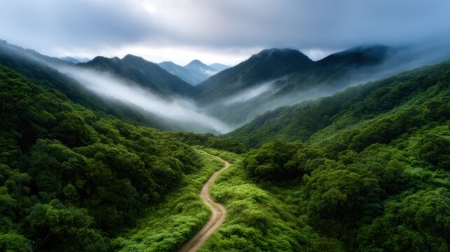 A beautiful landscape showing a winding path through lush green mountains under a dramatic sky, enveloped in mist, creating a serene and tranquil atmosphere for nature lovers.