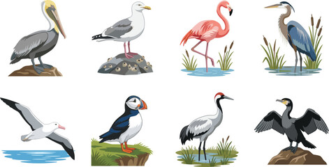 Naklejka premium Water Bird Illustration Collection with Flamingo Pelican Heron and Coastal Birds