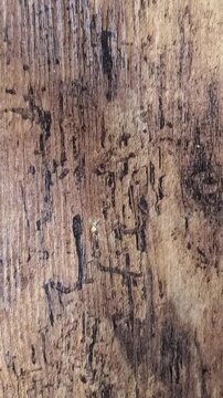 Wooden Texture Background 