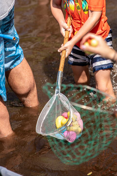 Child in an orange shirt raises a landing net overflowing with colorful rubber ducks, pink and yellow toys dripping from the mesh, capturing a playful catch during a community duck race.
