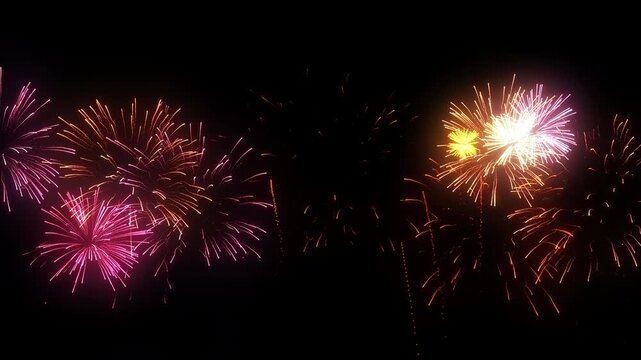 Orange and pink fireworks explosions on transparent background. For birthday firework, new year's eve firework, party firework, festival, anniversary fireworks, diwali fireworks, independence day