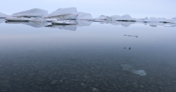 Arctic Tundra Landscape In Nunavut