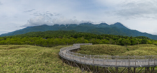 日本　北海道斜里町の知床五湖高架木道から望む雲がかかった初夏の知床連山 © pespiero