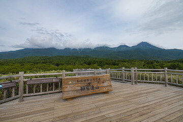 日本　北海道斜里町の知床五湖高架木道から望む雲がかかった初夏の知床連山 © pespiero