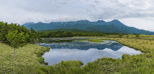 日本　北海道斜里町の知床五湖高架木道から望む新緑に囲まれた第一湖と知床連山 © pespiero
