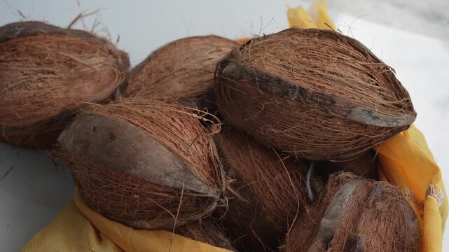 A pile of traditional brown coconuts kept for religious rituals and festivals