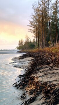 A tranquil beach scene with trees lining the shore, water gently lapping against the sand